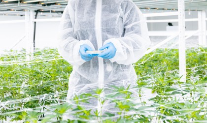 Banner - GMP ebnet den Weg für die Zukunft der Cannabisproduktionsanlagen, in denen sich alles um Qualität, Compliance und Innovation dreht